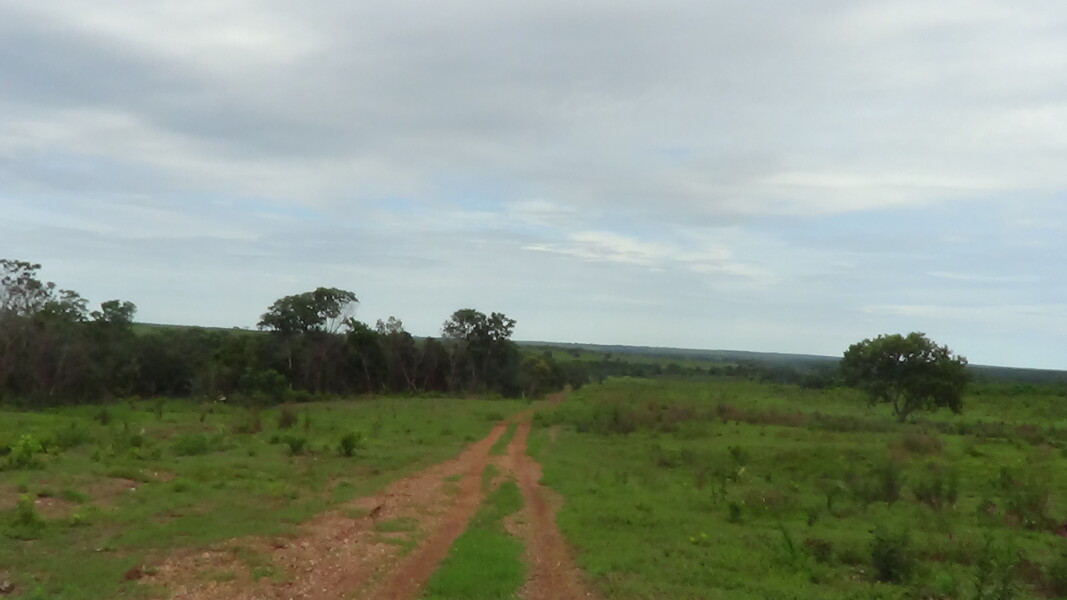atualizacao-da-pauta-de-valores-de-terra-nua-por-hectare-vtnha